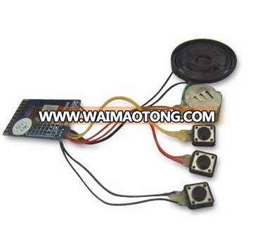 Programma Sound Module,Recordable Sound Module For Children Book Greeting Card